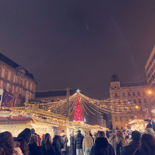ウィーンからブダペストへ🎄クリスマスマーケット巡り🪅