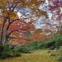 慶沢園：紅葉盛宴 🍁⛩️