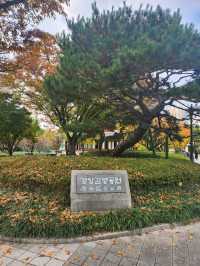 가을의 정취를 느낄수있는 대구 경상감영공원🍂