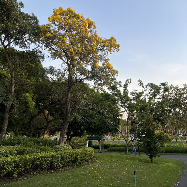 สวนหลวง ร.9: โอเอซิสใจกลางเมือง🍃🌸