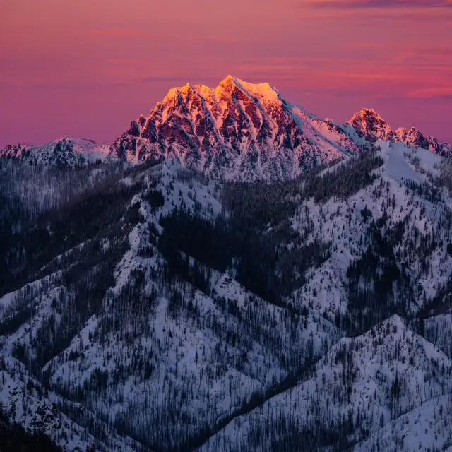 Let me tell you why Washington Should Be Your Next Christmas Vacation