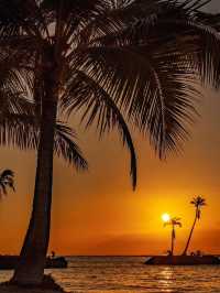 🎅🏼Santa’s Top 3 Spots for a Sunset in Oahu! Ho Ho Ho!