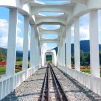เช็คอิน สะพานขาวทาชมภู ลำพูน