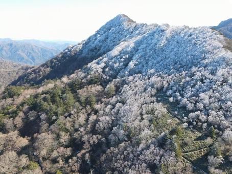 愛媛🇯🇵石鎚山