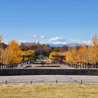 11月29日造訪昭和紀念公園，從新宿車站過來大約半小時，很方便，公園內非常大，在這裡慢慢走，慢慢逛，可以耗掉一整天。裡面有不少餐飲販售地點，但價格偏高，口味普通，建議可以自己攜帶食物野餐。楓葉季非常美，因為幅員遼闊，所以也不會覺得很多人。這裡溫度比市區稍低，銀杏大部分已掉落，楓葉正紅，這裡楓葉不會是一大片都是楓樹，比較分散些，但很多很大棵，可以好好享受公園的寧靜。有腳踏車道，不少人是騎腳踏車來逛公園。