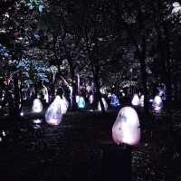大阪景點|走進夜間奇幻世界—大阪長居植物園teamLab