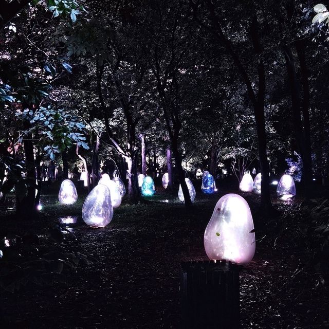 大阪景點|走進夜間奇幻世界—大阪長居植物園teamLab