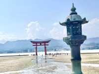 🇯🇵【広島】世界文化遺産！厳島神社in宮島✨