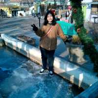 Provence Village เกาหลีใต้