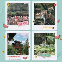 台北市立動物園：動物王國之旅 🦁🌿