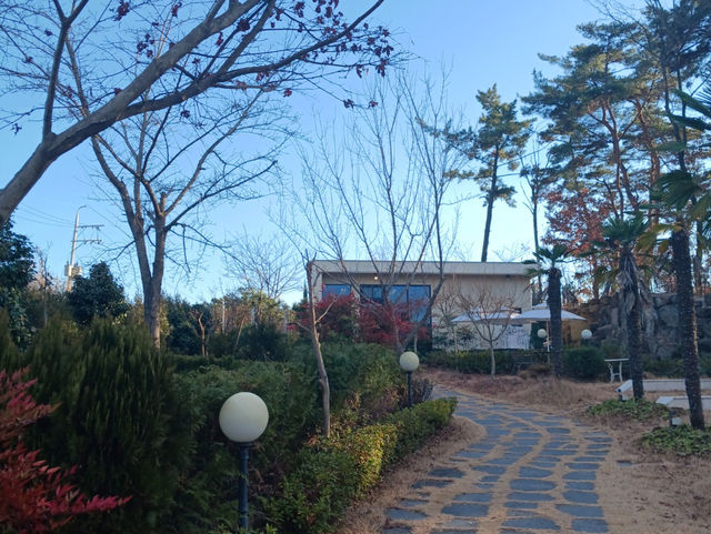 진주 내동에 숨겨진 보석 같은 카페, 산뷰 카페 소담원 🌿☕️! 