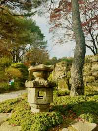 미술관에 있는 특별한 카페 ‘카멜커피 호암미술관점’ ☕️🍁