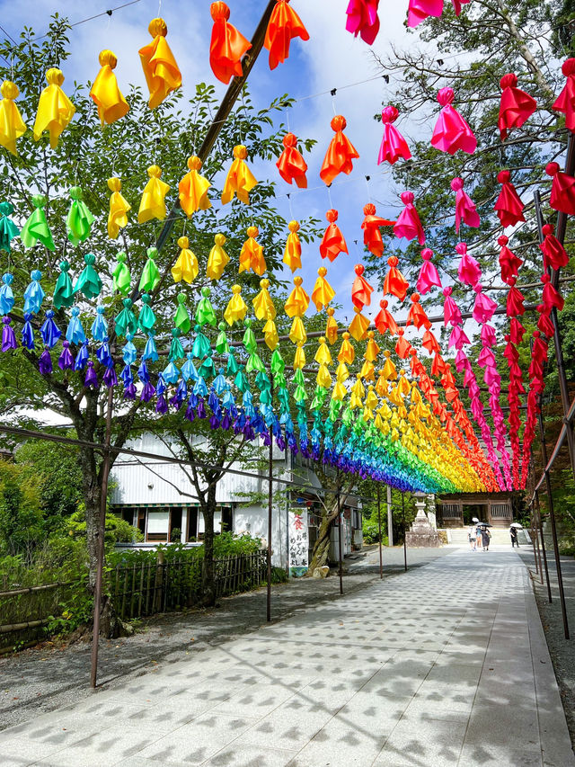 【静岡🇯🇵】梅雨の時期にはかわいいてるてる坊主を