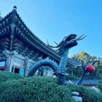Serenity by the Sea: A Visit to Yonggungsa Temple 🇰🇷