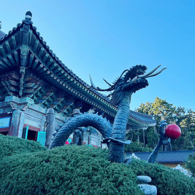 Serenity by the Sea: A Visit to Yonggungsa Temple 🇰🇷