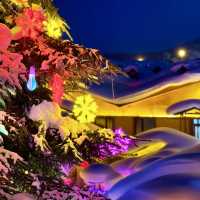 China Snow Town หมู่บ้านหิมะ 中国雪乡