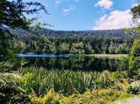 Lake Matheson- Jetty Viewpoint