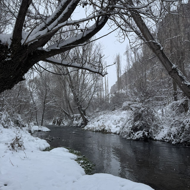 Am I dreaming or is it Winter Wonderland