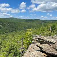 Bavarian Forest National Park