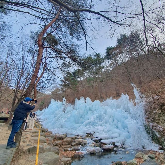 겨울왕국이 따로 없는 비슬산 얼음동산❄️