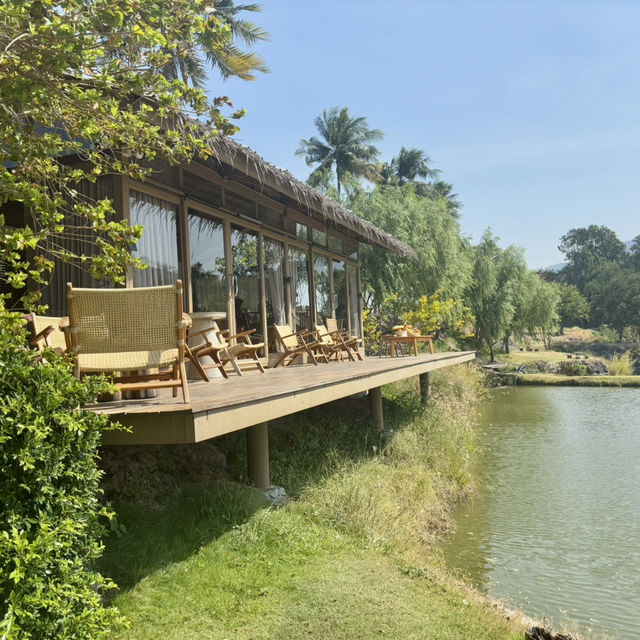 Serene house cafe ☕️ 