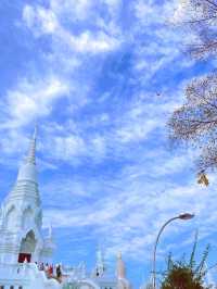 ชมความงดงามของเจดีย์ 100 ยอด วัดไผ่โรงวัว