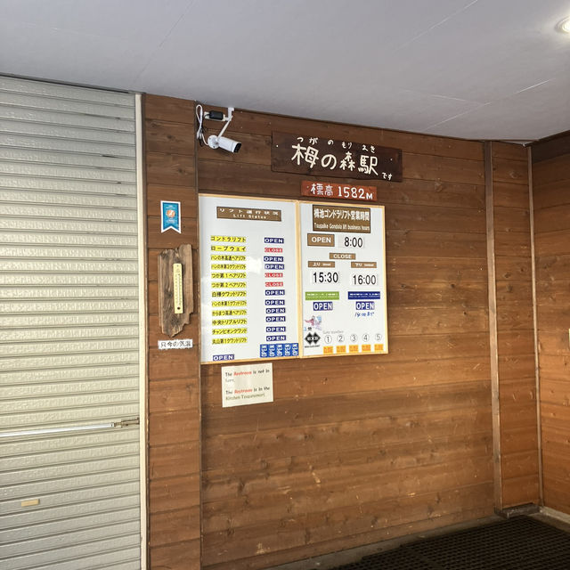栂池高原滑雪場的日出日落