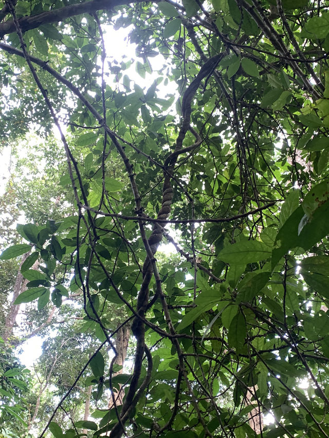 📍ทริป ขุนตาล งบประหยัด 📍