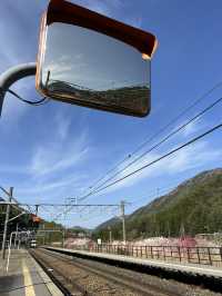 【長野】レトロな駅舎🚉沿線に梅が咲き誇る駅