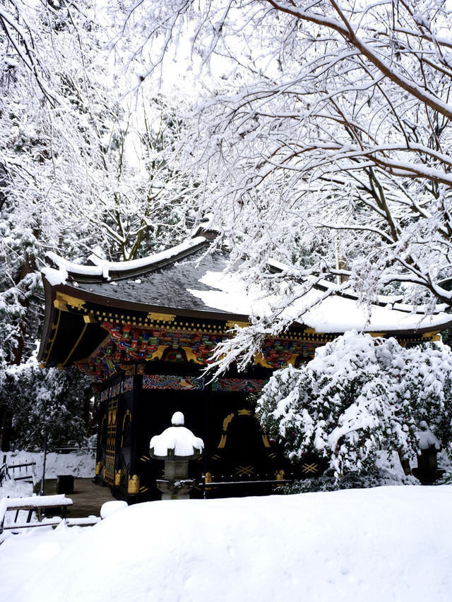 【宮城×冬の旅】