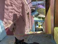 A Vibrant Gem in Malang – Rainbow Village