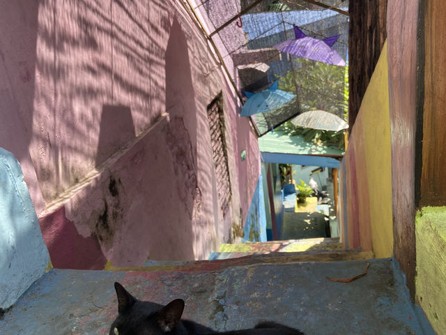 A Vibrant Gem in Malang – Rainbow Village