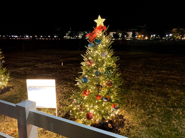 미국 국립 크리스마스 트리 National Christmas Tree