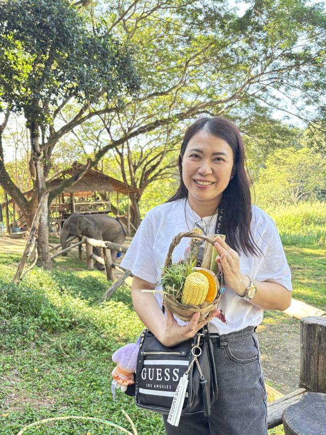 ศูนย์อนุรักษ์ช้างไทย ลำปาง