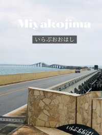 【青い海を見下ろす快適なドライブ】