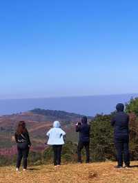 ภูลมโล (อุทยานภูหินร่องกล้า)