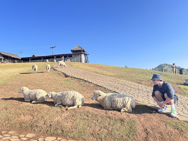 อาข่า ฟาร์มวิลล์ (Akha FarmVille)