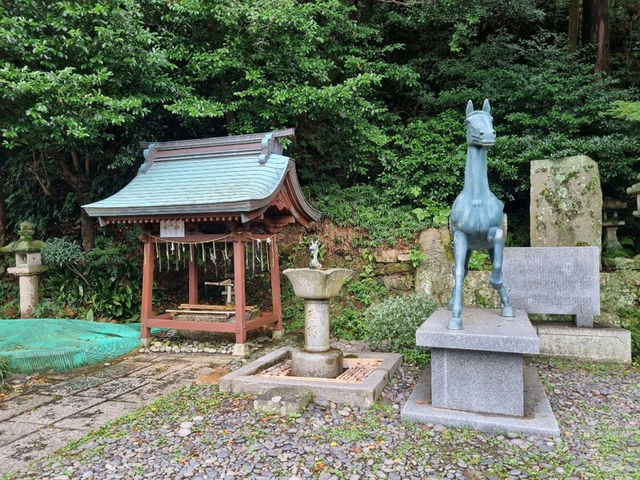 🏃‍♀️뚜벅이의 쓰시마 1박2일 히타카츠와 이즈하라 모두 즐기기🏃‍♀️