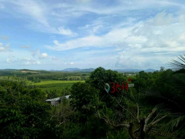 คาเฟ่พังงา บรรยากาศดี วิวสวย ใกล้สะพานสารสิน