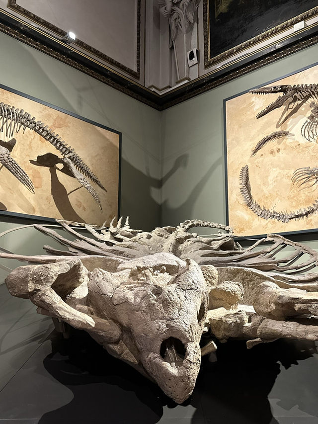 Step Back in Time: Explore the Dinosaurs of Vienna’s Natural History Museum