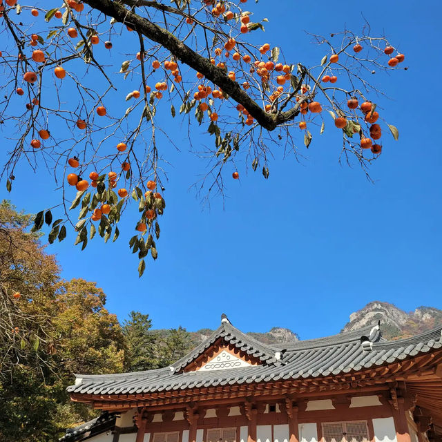 来蘇寺 
