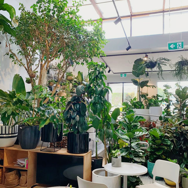 Botanical Bliss at Bar Botanik
