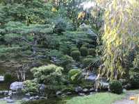 Hiyoshi Taisha: The Grand Shrine of Protection and History