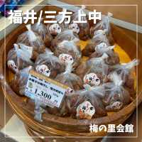 【福井/三方上中】梅のお土産を買うならここ☝️
