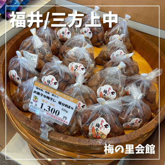 【福井/三方上中】梅のお土産を買うならここ☝️