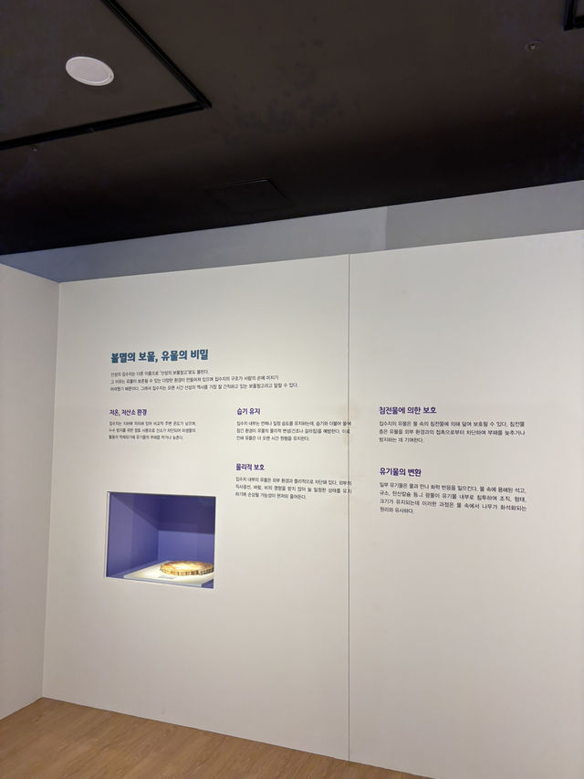 계양 산성을 따라서 운동하며 즐기는 데이트❤️
