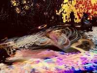 福岡TeamLab Forest，超乎想像的數位藝術展覽！✨