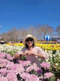 สวนวิลาวัณย์-วังน้ำเขียว Wilawan garden