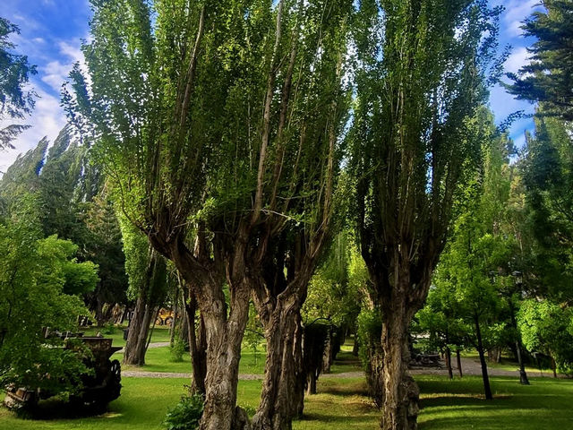 阿根廷El Calafate 小鎮及阿根廷湖巡禮
