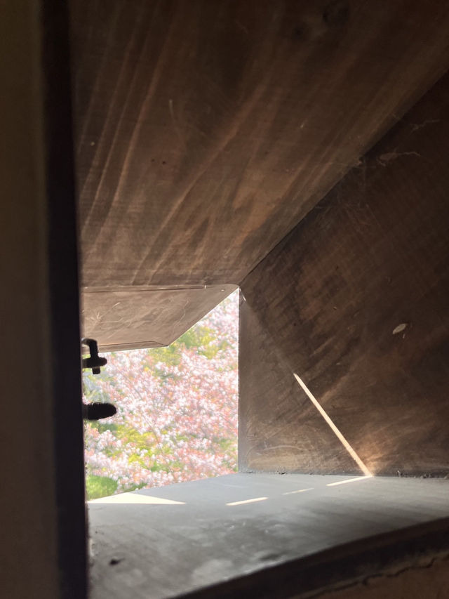 🏯 福岡城跡（舞鶴公園內）